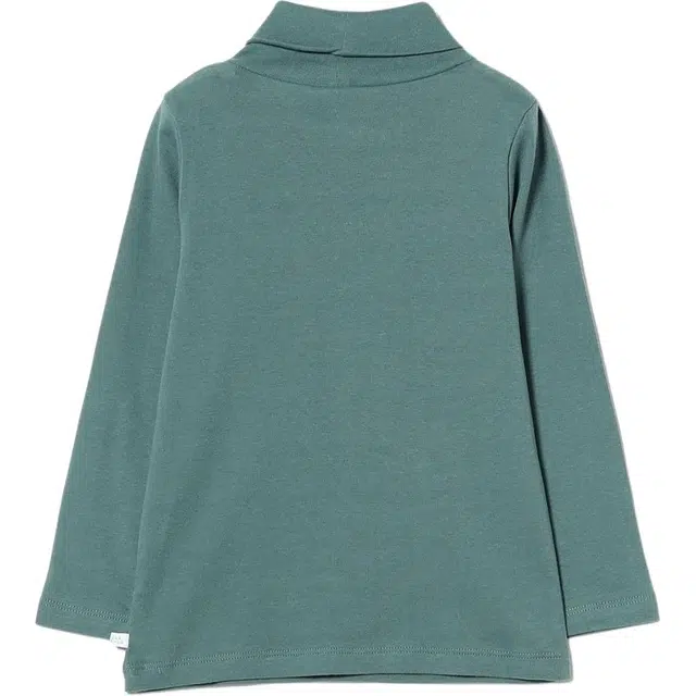 beams T