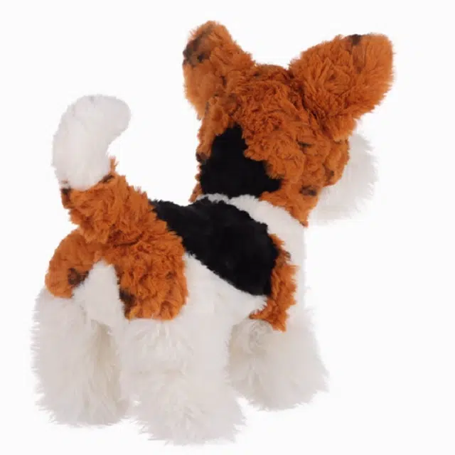 APRICOT LAMB 26cm