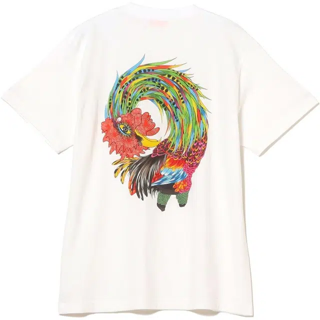 beams T
