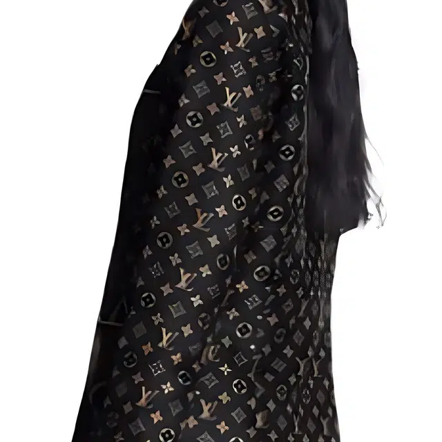 LOUIS VUITTON Monogram