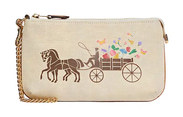 COACH Corner Zip 19