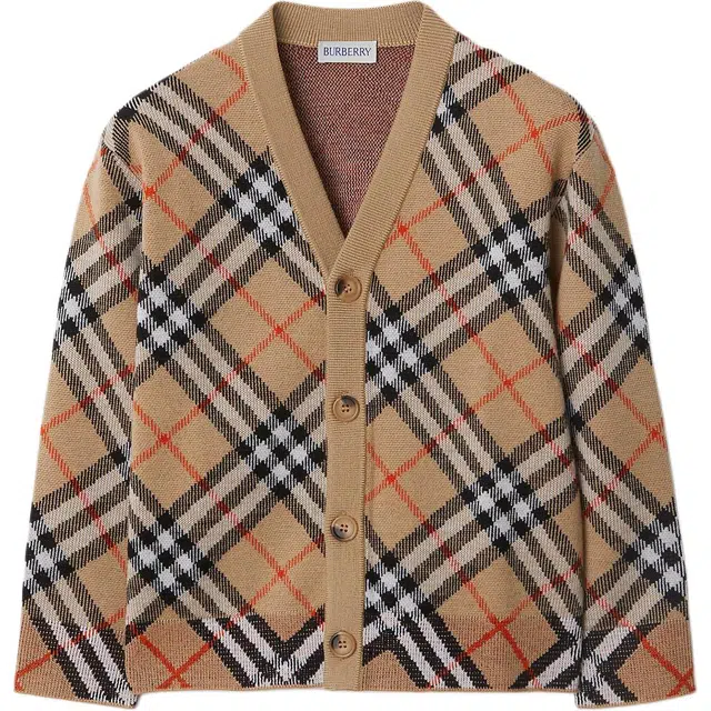 BurberryFW24 V