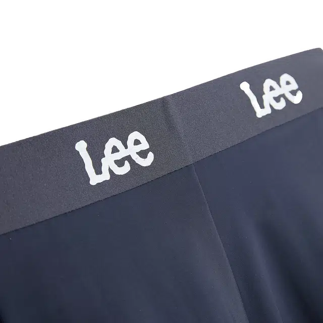 Lee 2