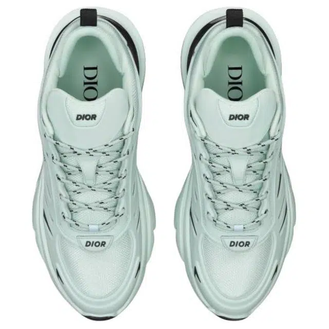 DIOR B44