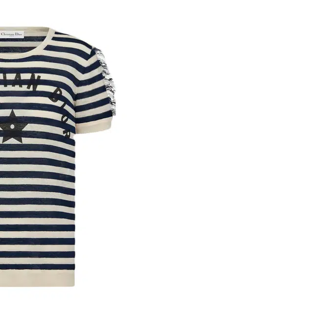 DIOR T