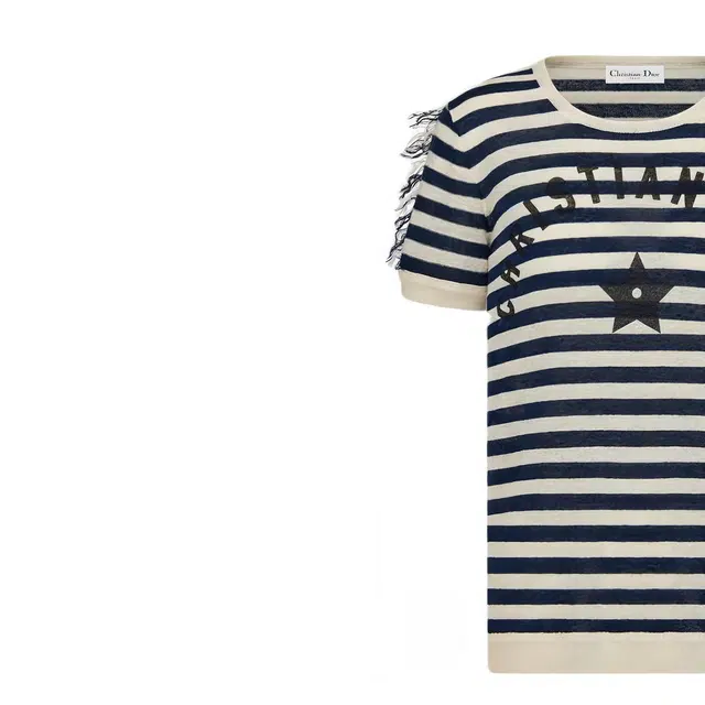DIOR T