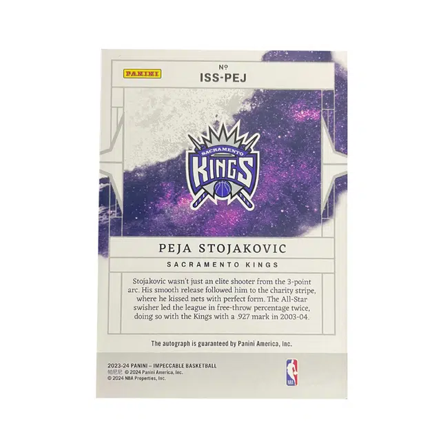 PANINI 2023-24 1925