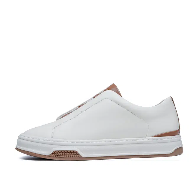 AQUASCUTUM
