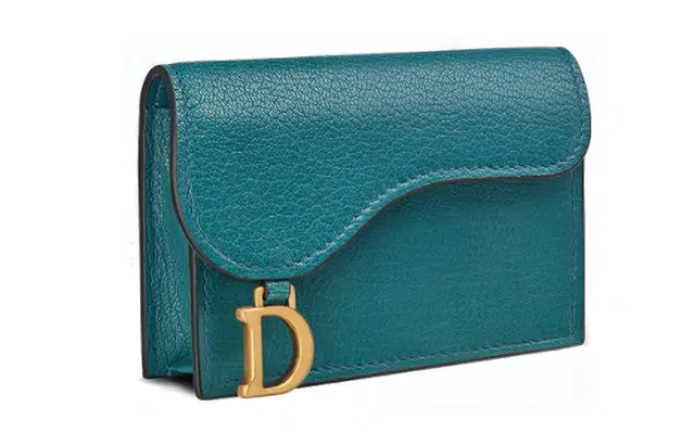 DIOR Saddle