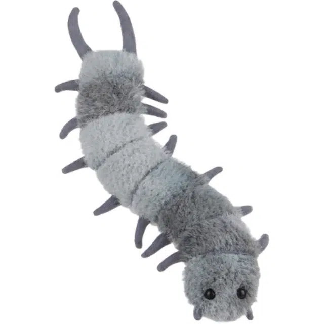 APRICOT LAMB 5cm