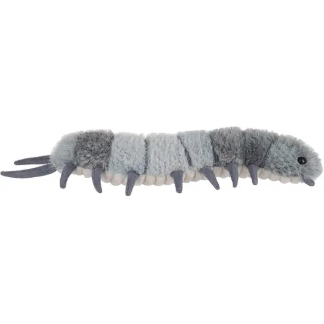 APRICOT LAMB 5cm
