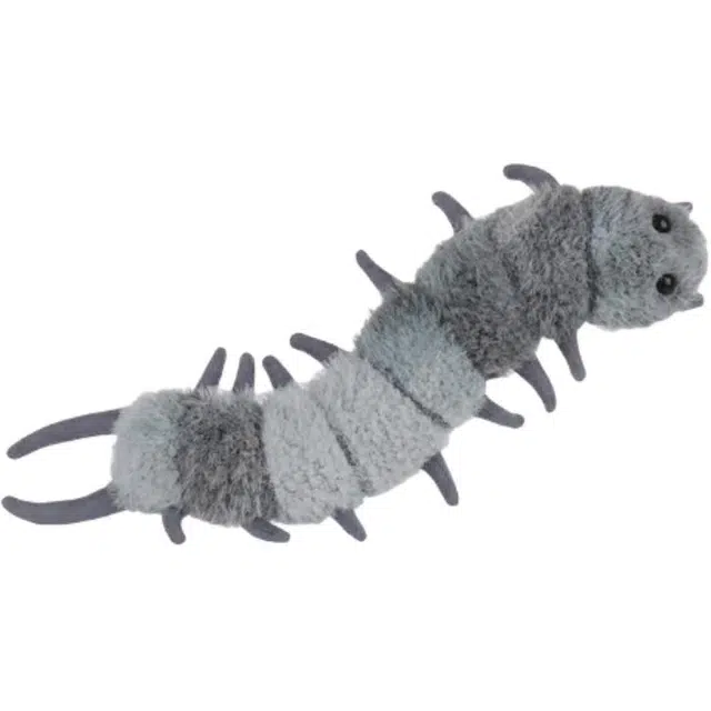 APRICOT LAMB 5cm