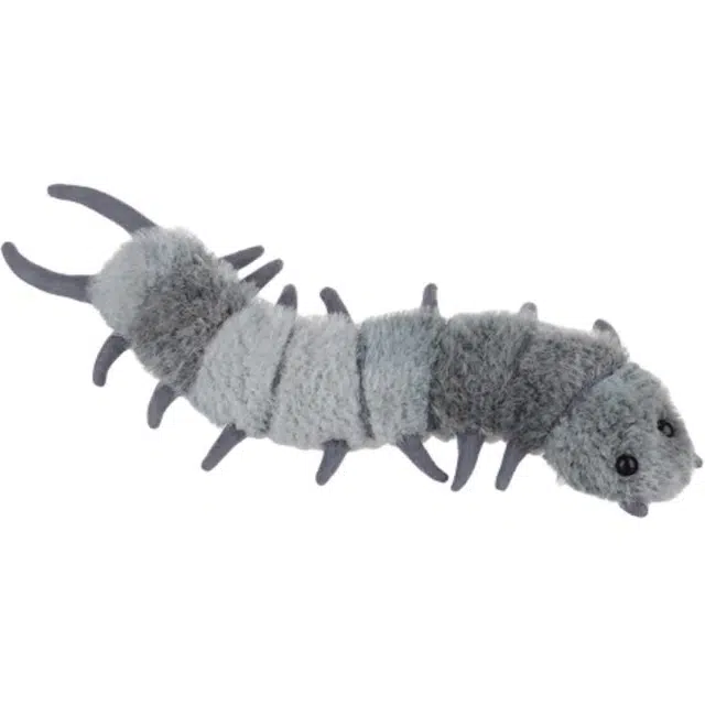 APRICOT LAMB 5cm