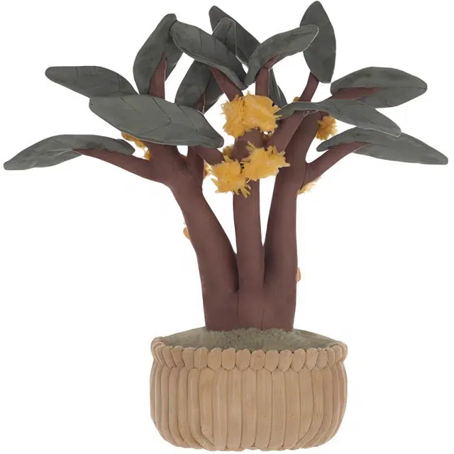APRICOT LAMB 31cm