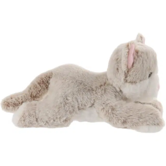 APRICOT LAMB 25cm
