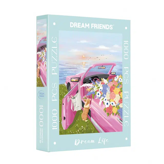 DREAM FRIENDS 1000pcs