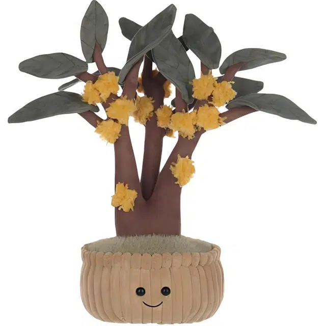 APRICOT LAMB 31cm
