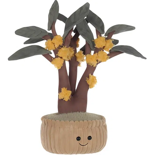 APRICOT LAMB 31cm