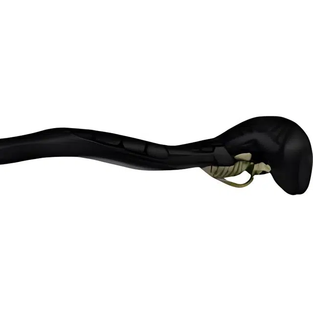 IP 37cm