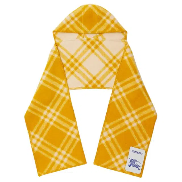 Burberry Shawl