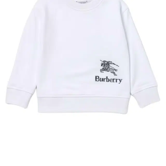 Burberry T