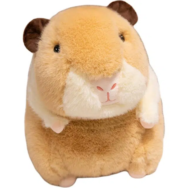 25cm30cm40cm