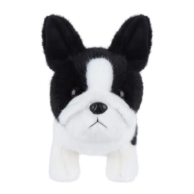 APRICOT LAMB 19cm