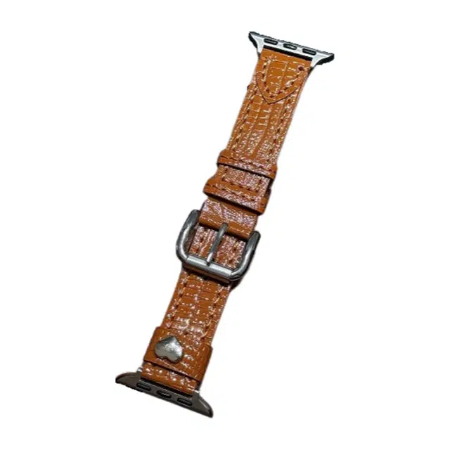 Applewatch S9S8SE76543