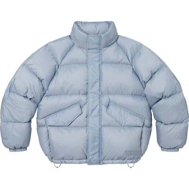 Supreme FW24 700-Fill Down Puffer Jacket