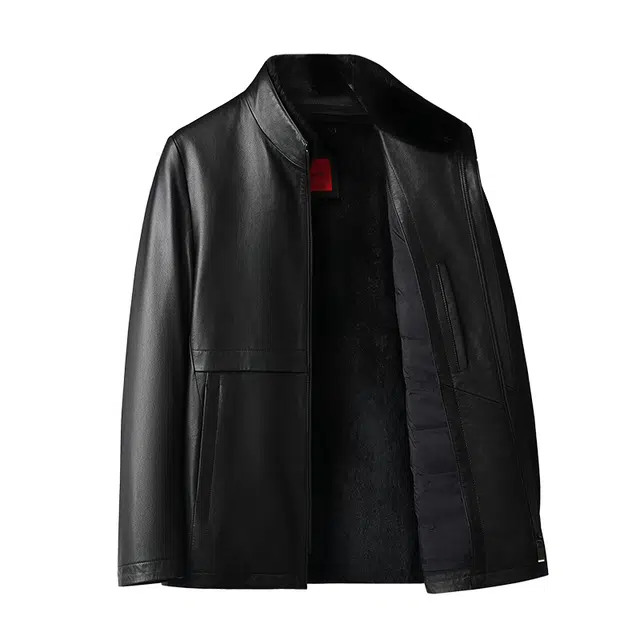 PIERRE CARDIN