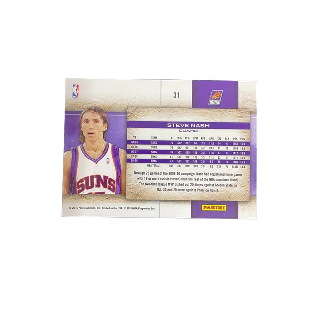 PANINI 2010