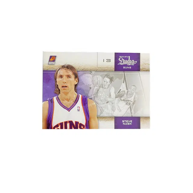PANINI 2010