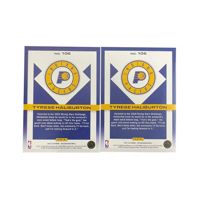 PANINI 2021-22 +199