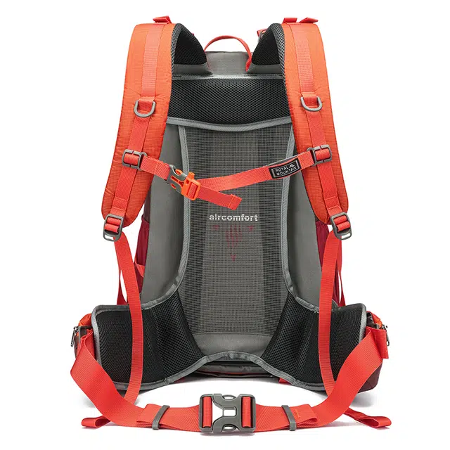 RM 35L