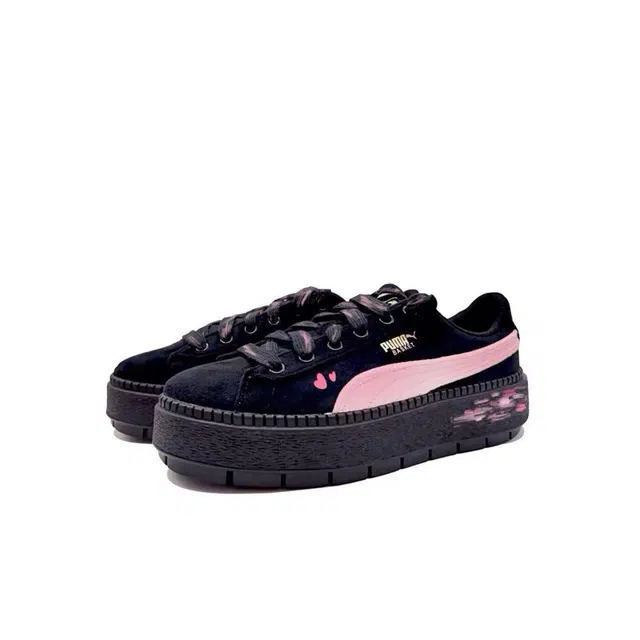 PUMA Platform Trace