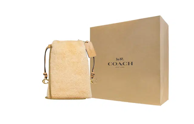 COACH Pouch 17