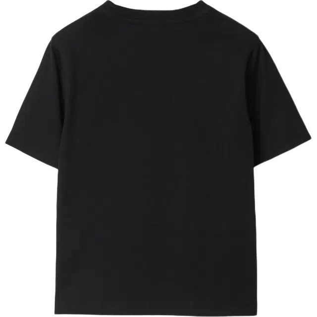 BurberryT FW24 Logo