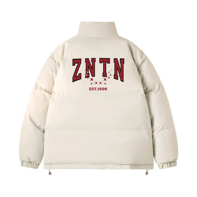 ZNTN logo