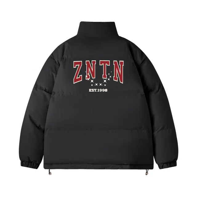 ZNTN logo