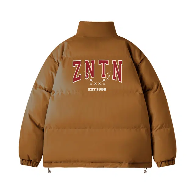 ZNTN logo