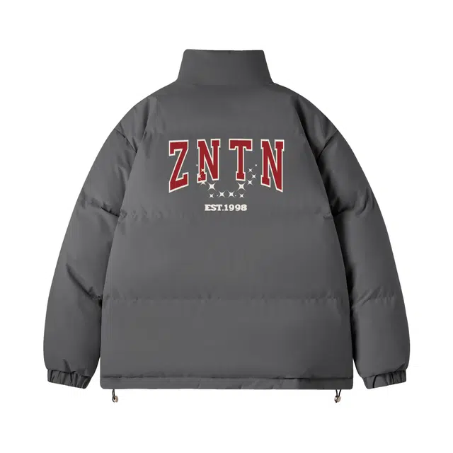ZNTN logo