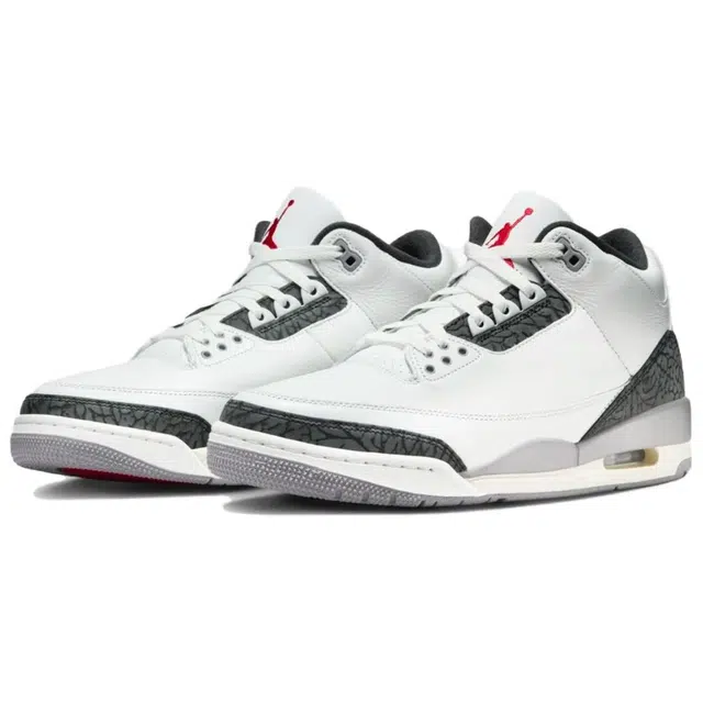 Jordan Air Jordan 3