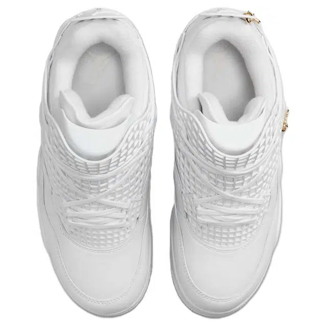 Jordan Air Jordan 4 Net