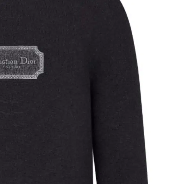 DIOR FW22 Logo