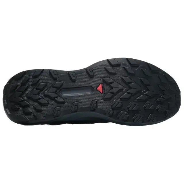 SALOMON Genesis
