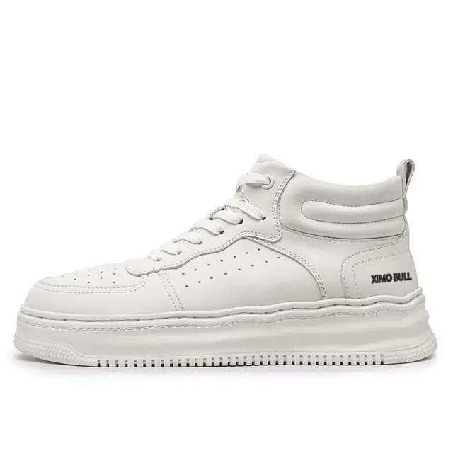 XIMO BULL