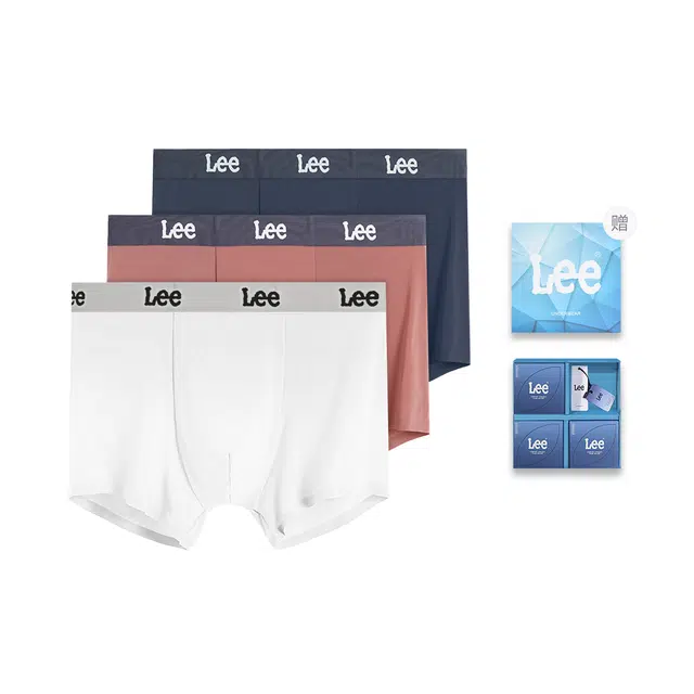 Lee 4.0 3