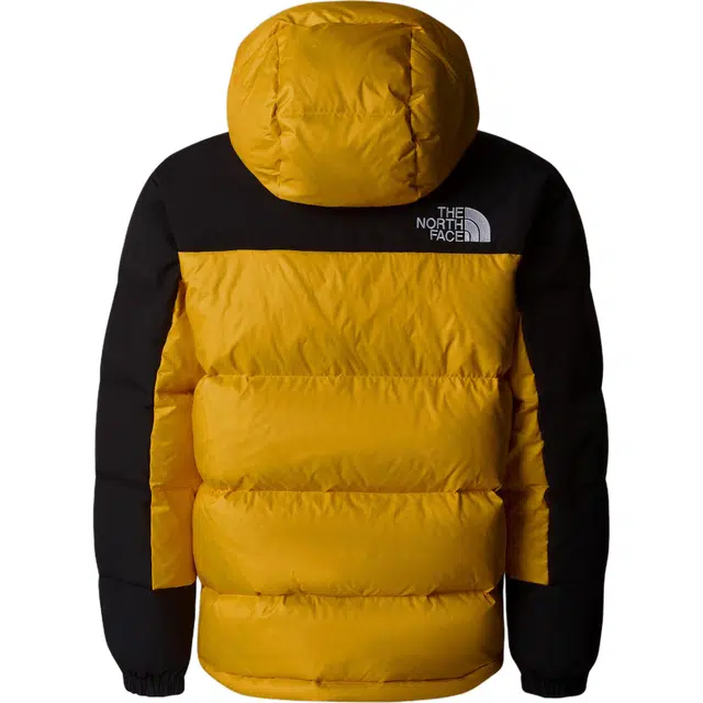 THE NORTH FACE FW24 ICON HMLYN