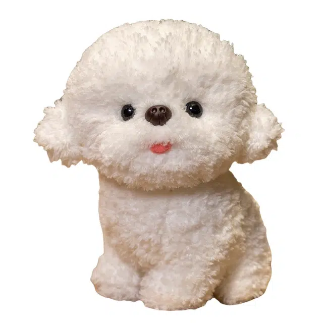 20cm30cm