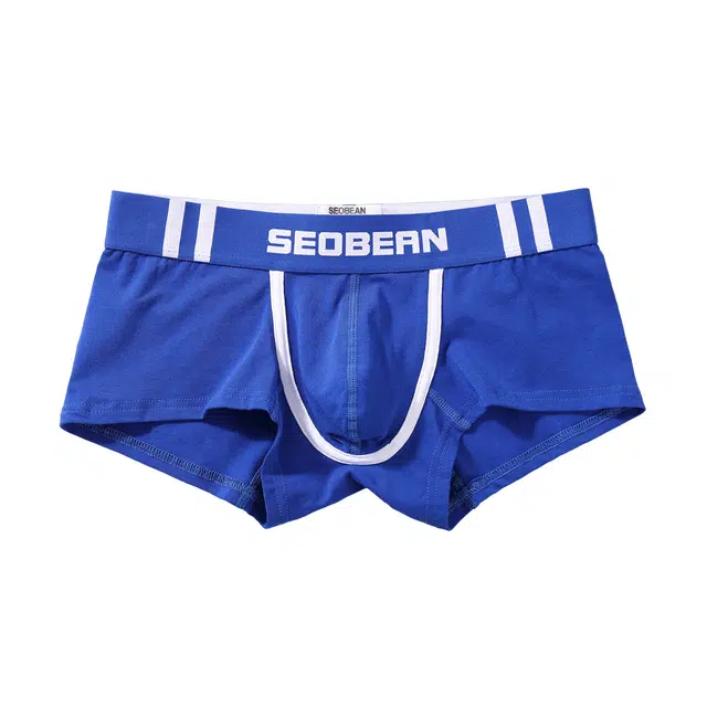 SEOBEAN 1